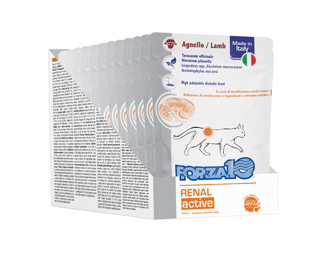 12x100g Forza10 Renal Active Agnello - Gatti Adulti 12x100g Forza10 Renal Active Agnello - Gatti Adulti